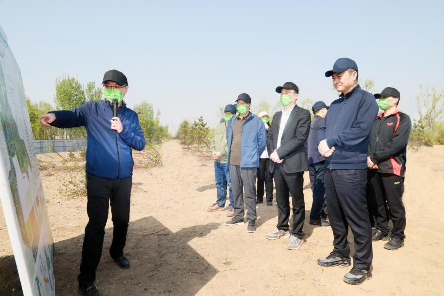 集團公司與國家林業和草原局、國家開發銀行聯合開展義務植樹活動